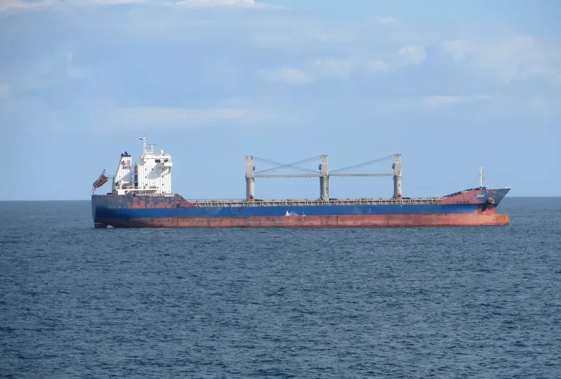 ELENA Bulk Carrier IMO 9501215 photo 3