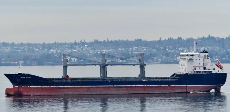ELENA Bulk Carrier IMO 9501215 photo 6