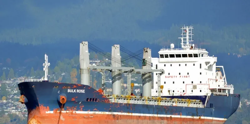 ELENA Bulk Carrier IMO 9501215 photo 10
