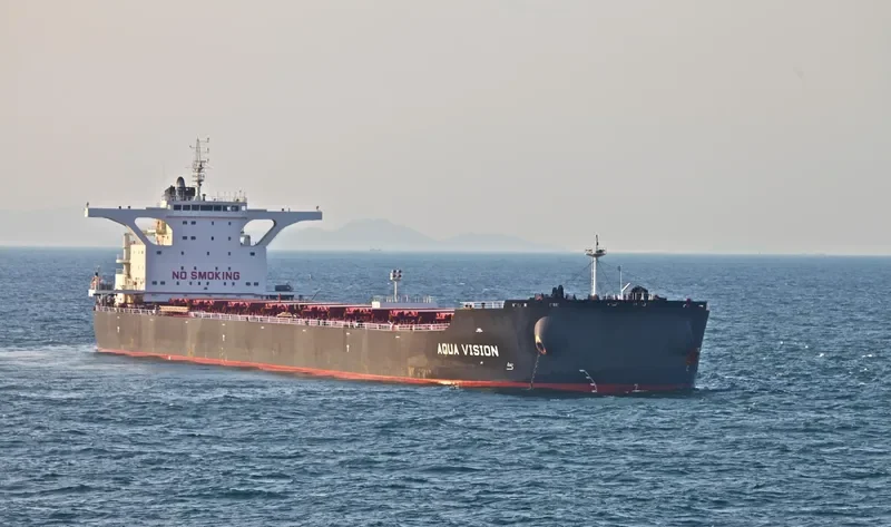 AQUA VISION Bulk Carrier IMO 9501497 photo 5
