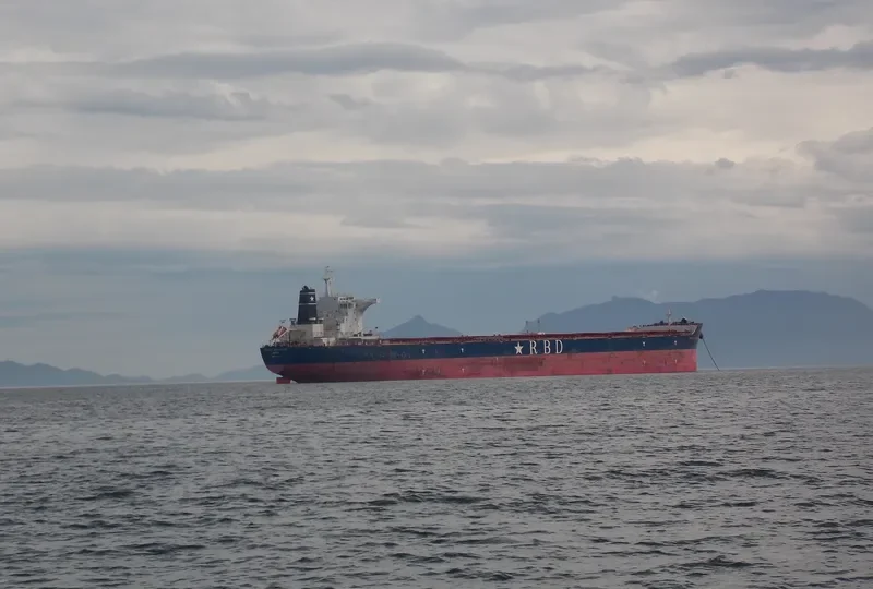ORSOLA BOTTIGLIERI Bulk Carrier IMO 9501617 photo 5