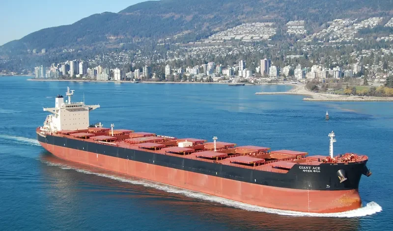 GIANT ACE Bulk Carrier IMO 9501851 photo 3
