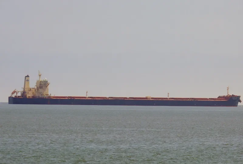 GIANT ACE Bulk Carrier IMO 9501851 photo 7