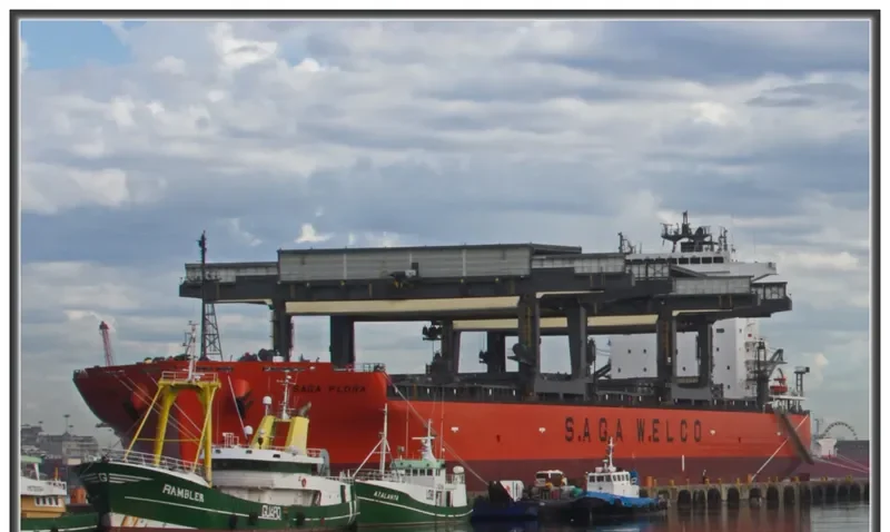 SAGA FLORA General Cargo IMO 9502348 photo 3