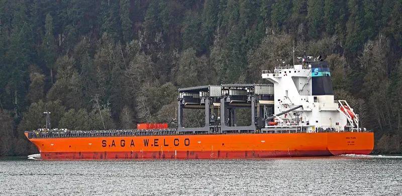 SAGA FLORA General Cargo IMO 9502348 photo 6