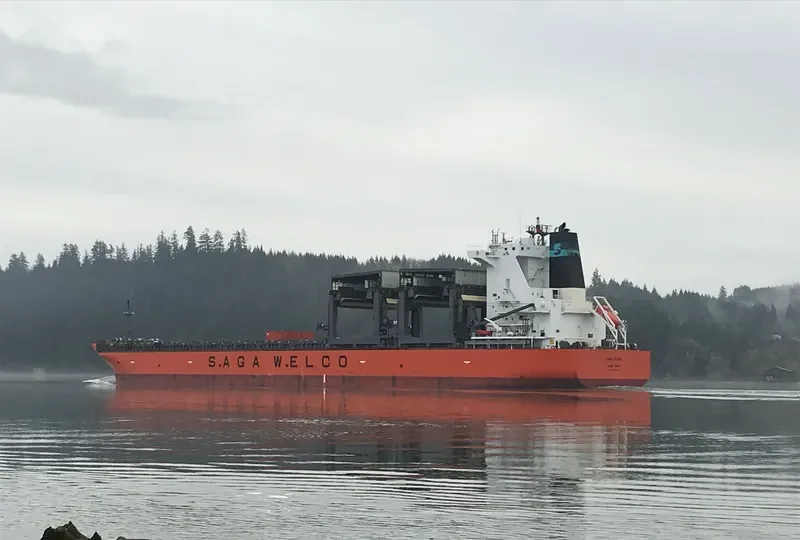 SAGA FLORA General Cargo IMO 9502348 photo 7