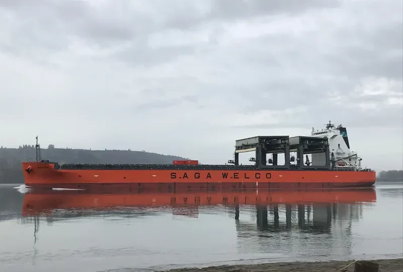SAGA FLORA General Cargo IMO 9502348 photo 8