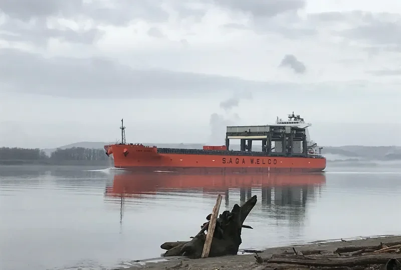 SAGA FLORA General Cargo IMO 9502348 photo 10