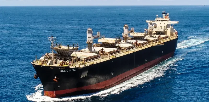 GENCIANA Bulk Carrier IMO 9502568