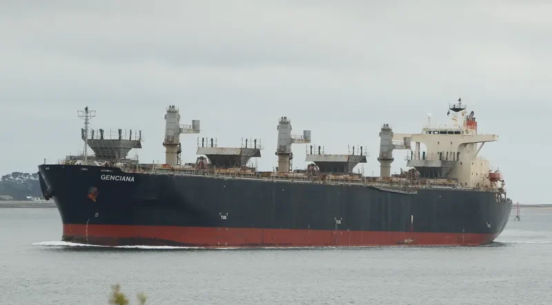 GENCIANA Bulk Carrier IMO 9502568 photo 2