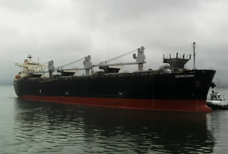 GENCIANA Bulk Carrier IMO 9502568 photo 6