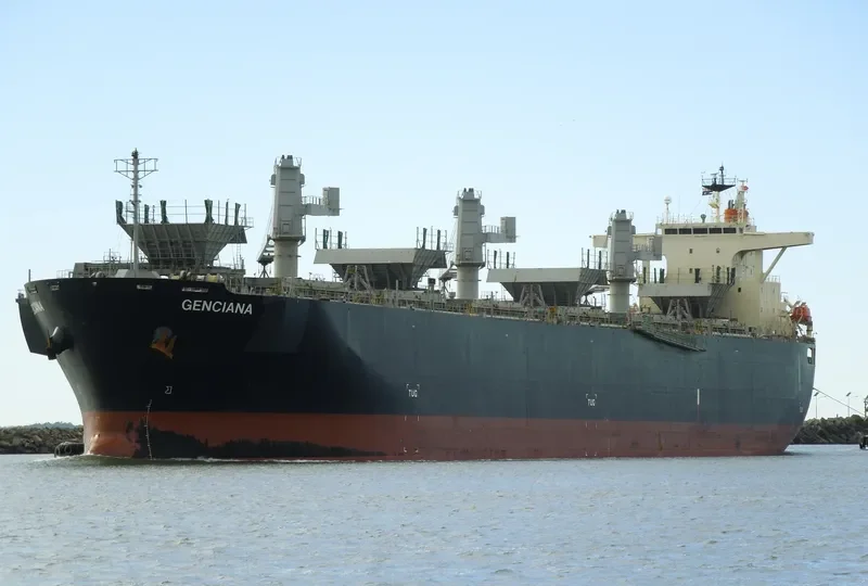 GENCIANA Bulk Carrier IMO 9502568 photo 9