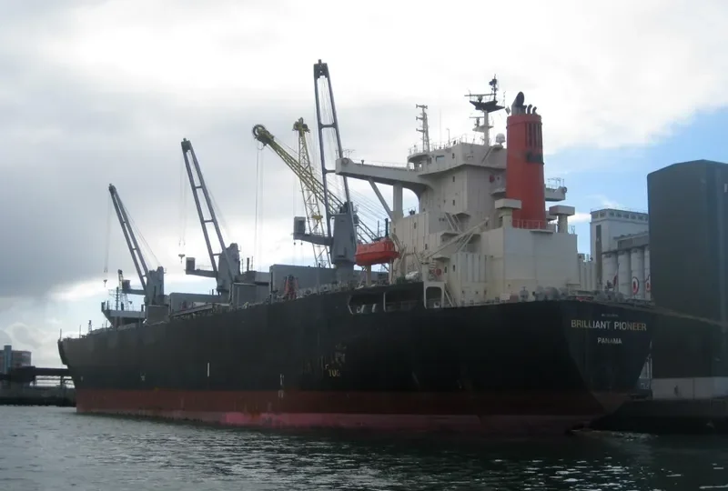 BRILLIANT EAGLE Bulk Carrier IMO 9502570 photo 2
