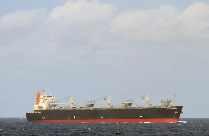 BRILLIANT EAGLE Bulk Carrier IMO 9502570 photo 6