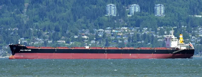 AQUA VENTURE Bulk Carrier IMO 9502582 photo 2
