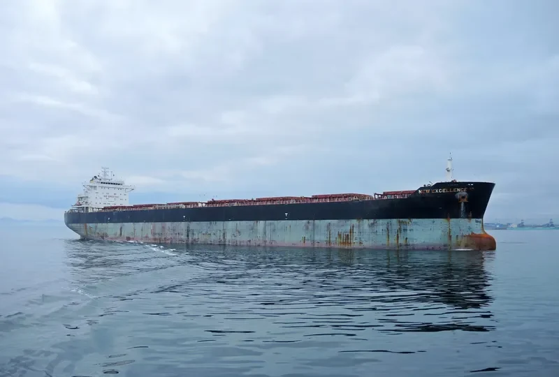 NEW EXCELLENCE Bulk Carrier IMO 9502594
