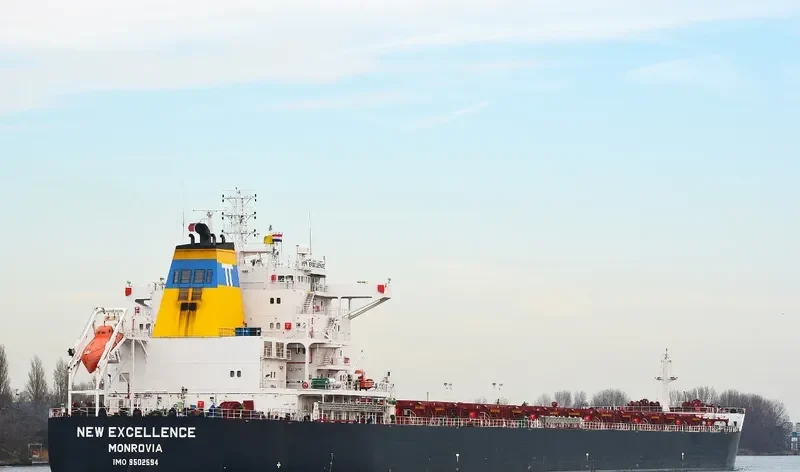 NEW EXCELLENCE Bulk Carrier IMO 9502594 photo 5