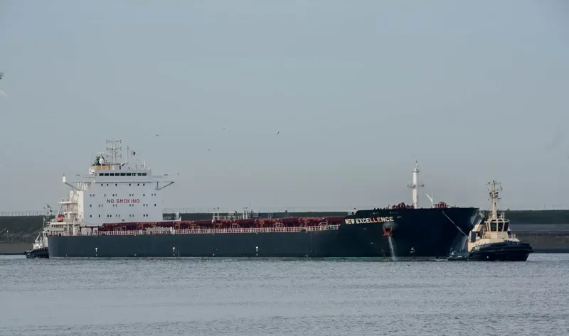 NEW EXCELLENCE Bulk Carrier IMO 9502594 photo 10