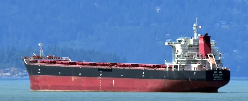 GOOD WISH Bulk Carrier IMO 9502623 photo 2