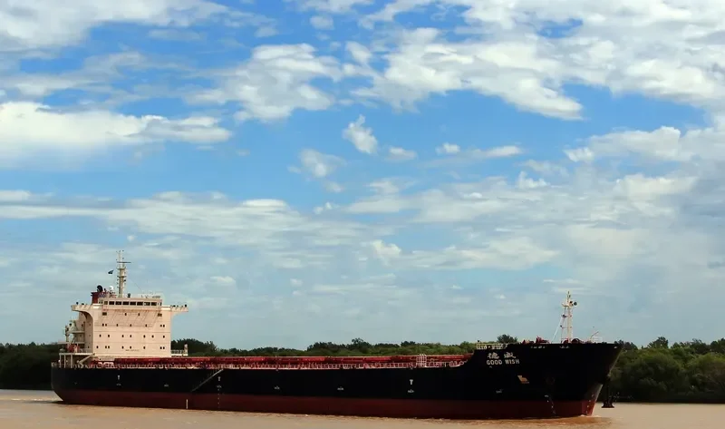 GOOD WISH Bulk Carrier IMO 9502623 photo 6