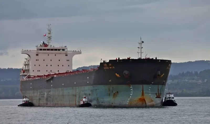 GOOD WISH Bulk Carrier IMO 9502623 photo 10