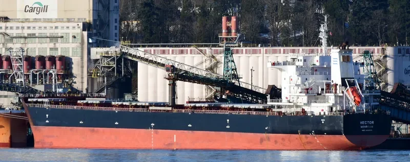 HECTOR Bulk Carrier IMO 9502635