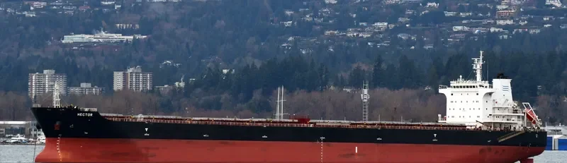 HECTOR Bulk Carrier IMO 9502635 photo 4