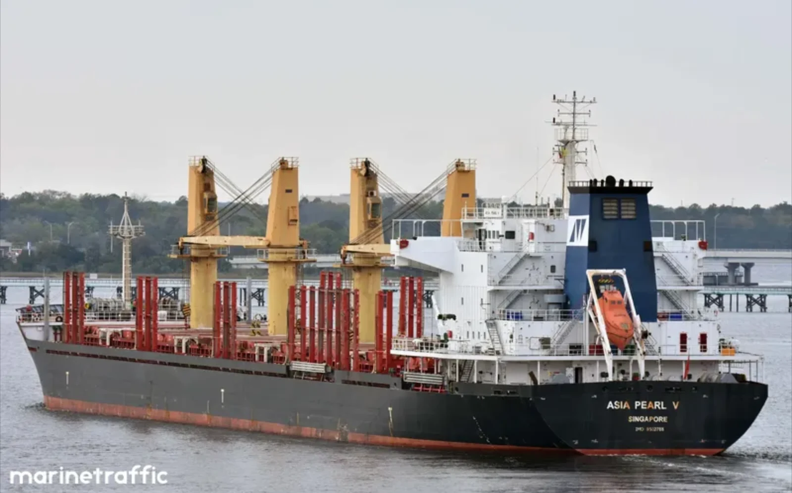 ARGOS M Bulk Carrier IMO 9502788 photo 2