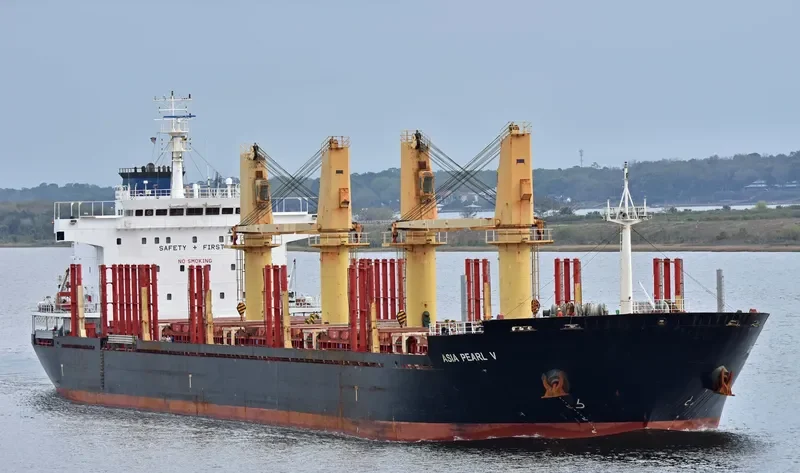 ARGOS M Bulk Carrier IMO 9502788 photo 4
