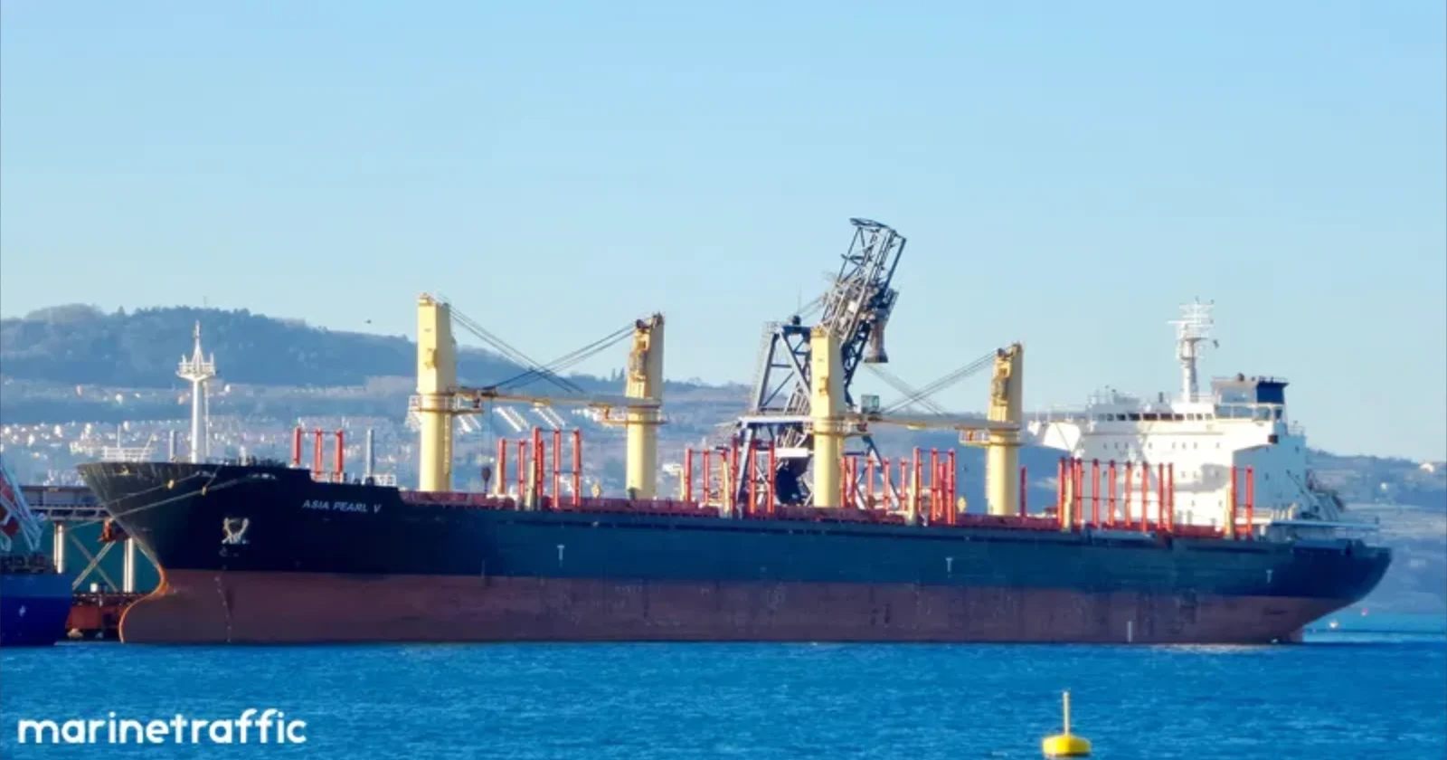 ARGOS M Bulk Carrier IMO 9502788 photo 6