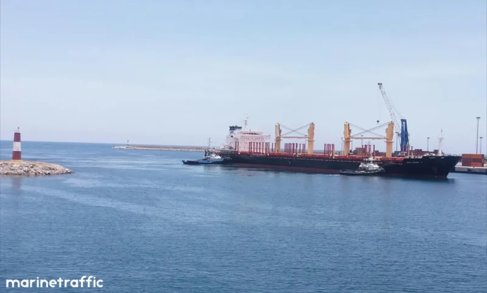 ARGOS M Bulk Carrier IMO 9502788 photo 8
