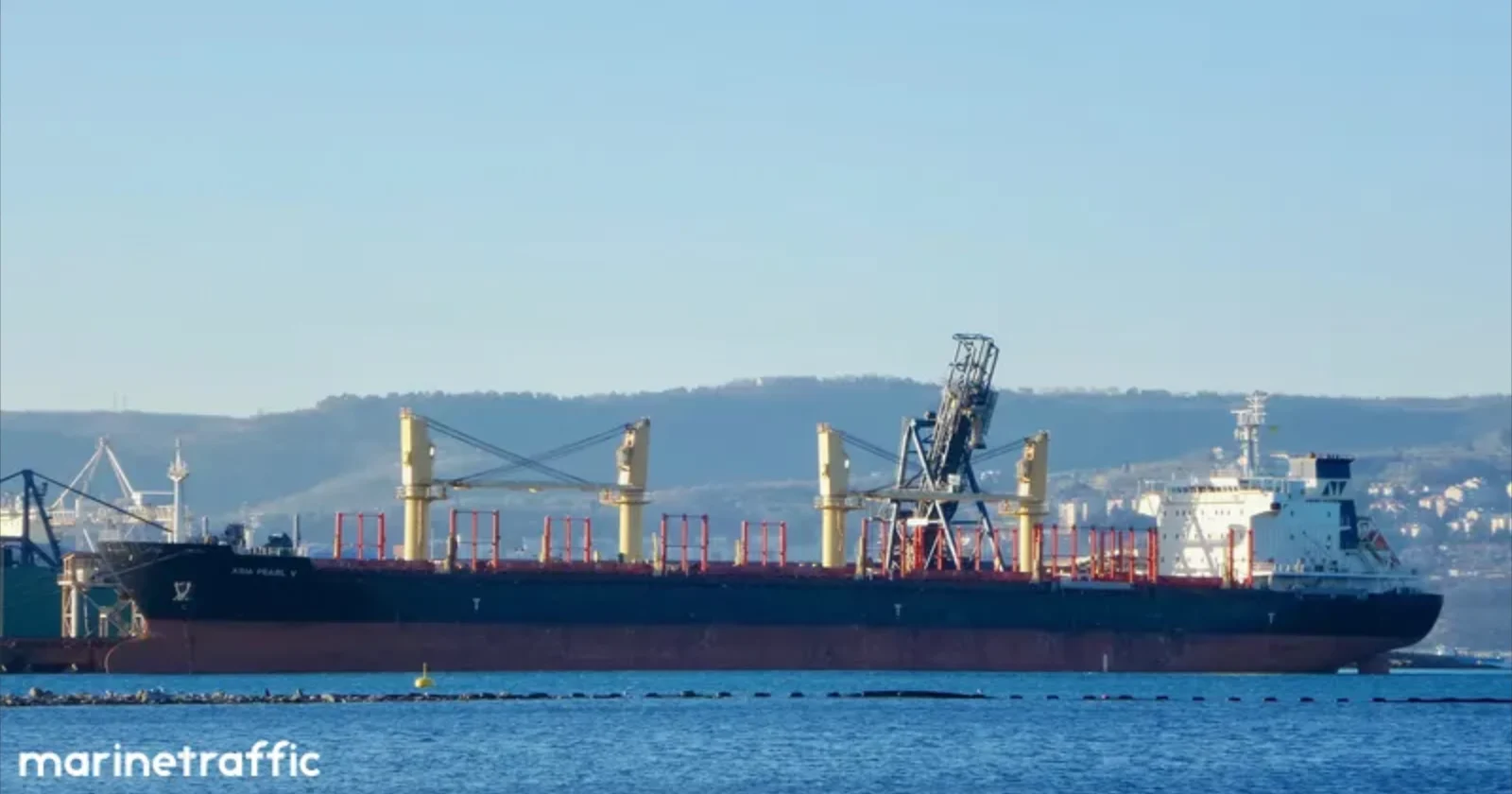ARGOS M Bulk Carrier IMO 9502788 photo 13