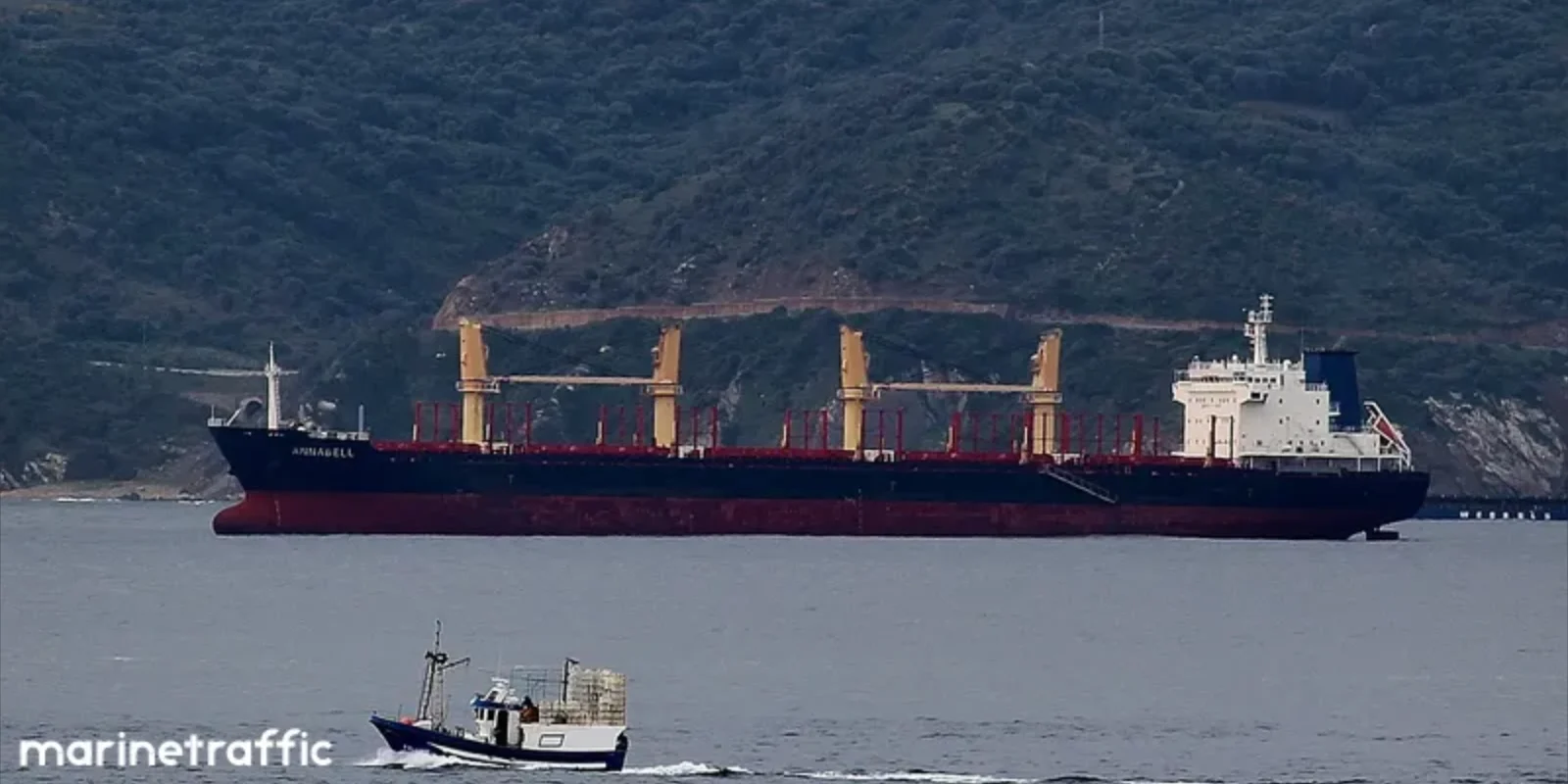 ARGOS M Bulk Carrier IMO 9502788 photo 17