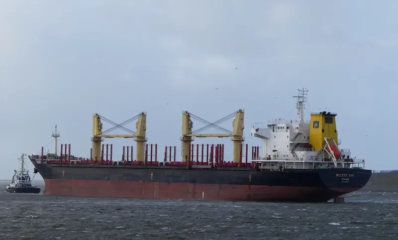 PRETTY IVY Bulk Carrier IMO 9502817 photo 3