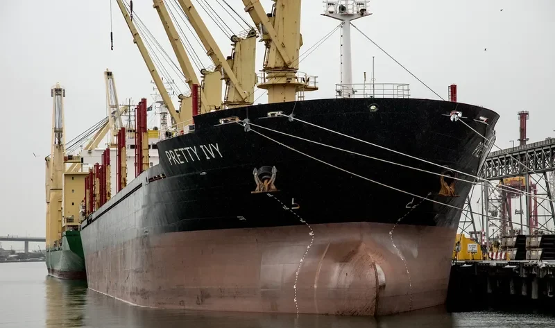 PRETTY IVY Bulk Carrier IMO 9502817 photo 5