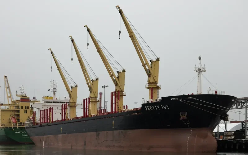 PRETTY IVY Bulk Carrier IMO 9502817 photo 6