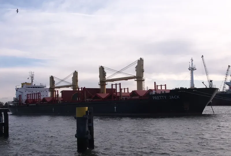 PRETTY JACK Bulk Carrier IMO 9502829 photo 3