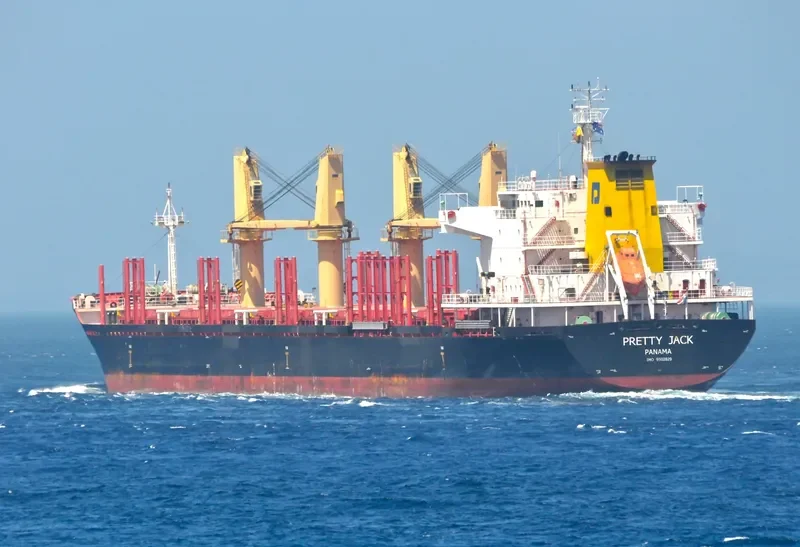 PRETTY JACK Bulk Carrier IMO 9502829 photo 9