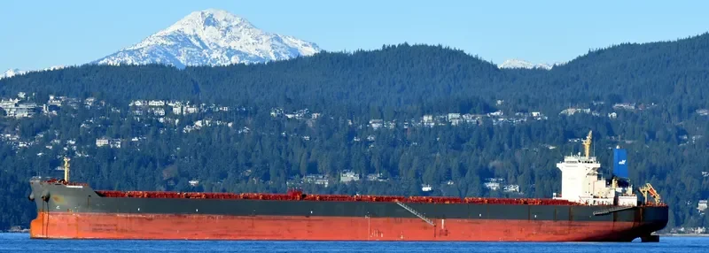 YOUNGHEUNG Bulk Carrier IMO 9502934