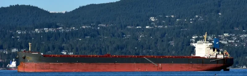 YOUNGHEUNG Bulk Carrier IMO 9502934 photo 2