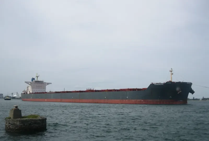 YOUNGHEUNG Bulk Carrier IMO 9502934 photo 7