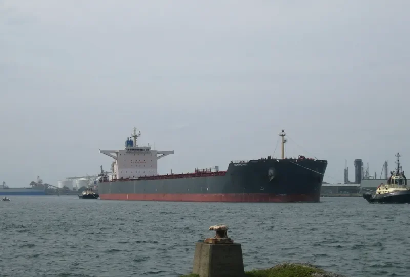 YOUNGHEUNG Bulk Carrier IMO 9502934 photo 8