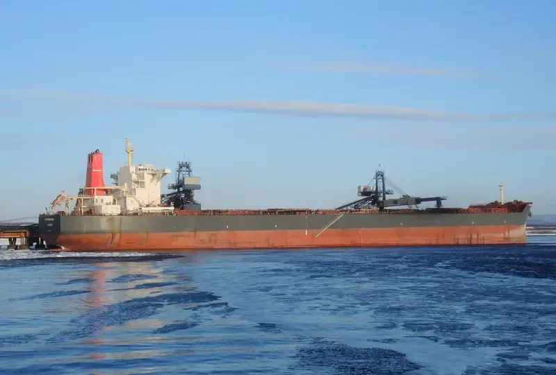 YOUNGHEUNG Bulk Carrier IMO 9502934 photo 10
