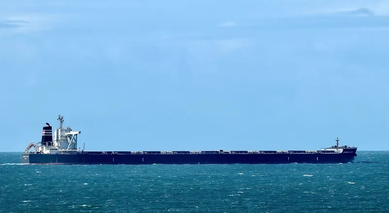 CELEBES CLOVER Bulk Carrier IMO 9503225 photo 3