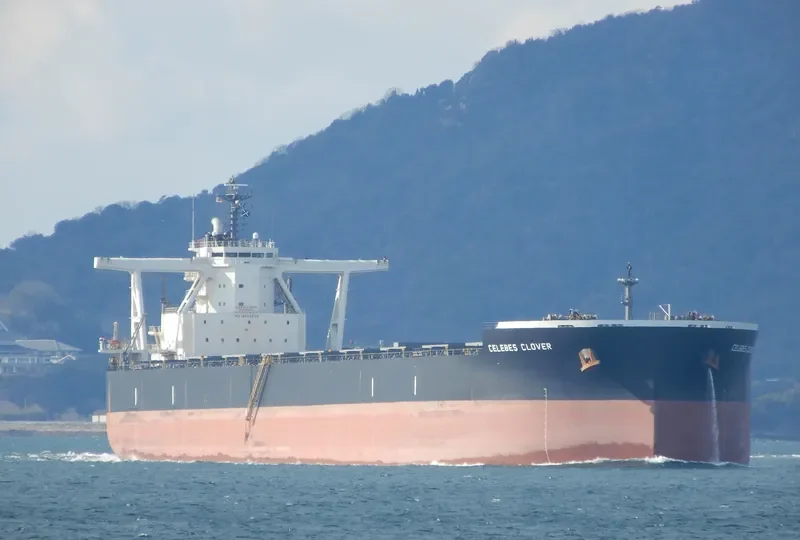 CELEBES CLOVER Bulk Carrier IMO 9503225 photo 5