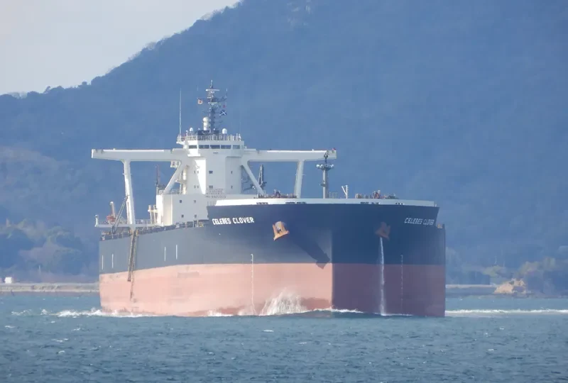 CELEBES CLOVER Bulk Carrier IMO 9503225 photo 6