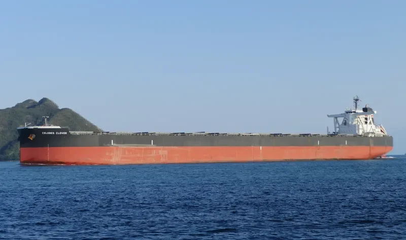 CELEBES CLOVER Bulk Carrier IMO 9503225 photo 9