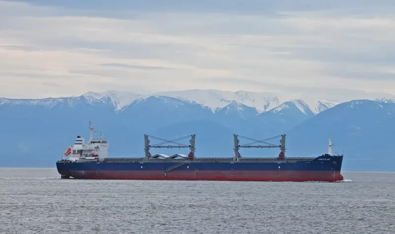 ESHIPS PROGRESS Bulk Carrier IMO 9503275 photo 7