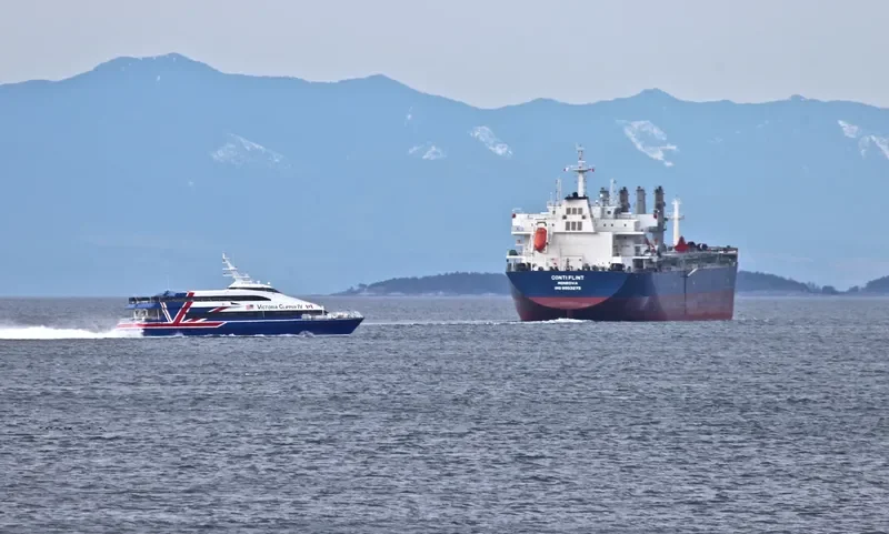 ESHIPS PROGRESS Bulk Carrier IMO 9503275 photo 9