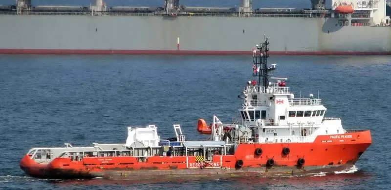 PACIFIC PEACOCK General Cargo IMO 9503380 photo 3